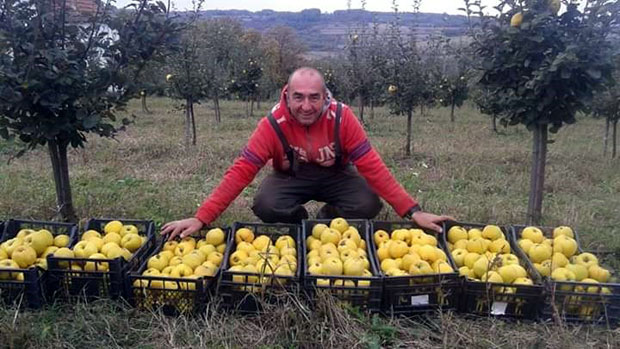 Из Аустралије наручили 20.000 литара: Србина дуњевача најбоља на Западном Балкану
